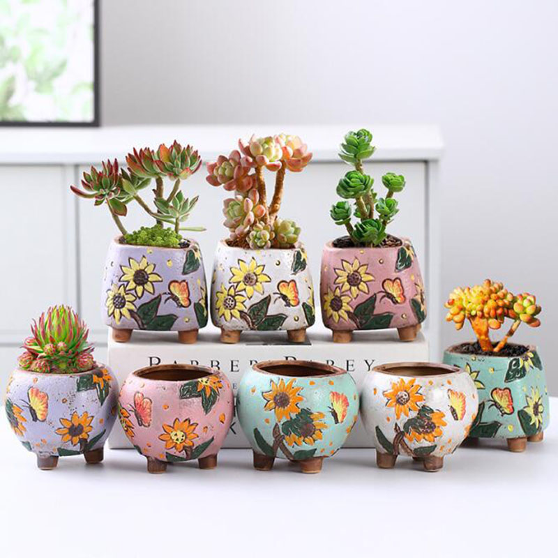 Echeveria Succulent - Maceta de plantas suculentas con diseño