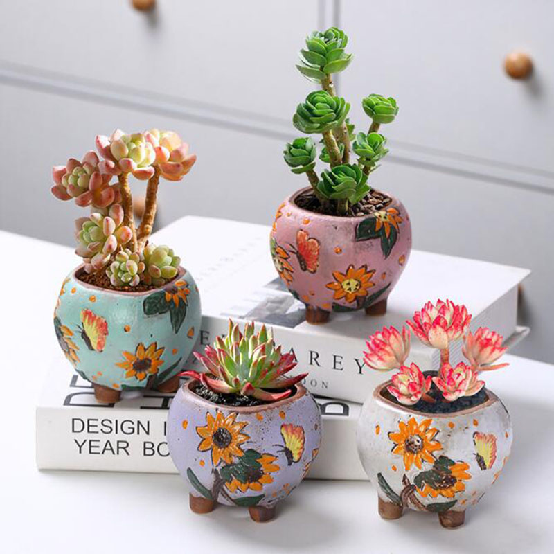 Maceta de plantas suculentas c - Echeveria Succulent reseña y precio