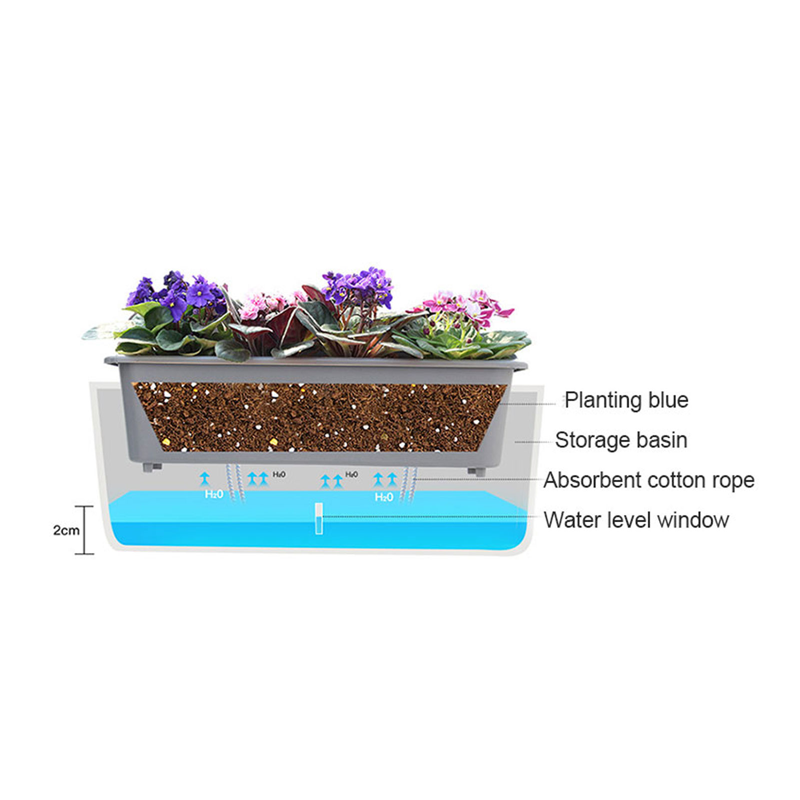 Macetas de autorriego con prác - Aloe Vera Pot reseña y precio