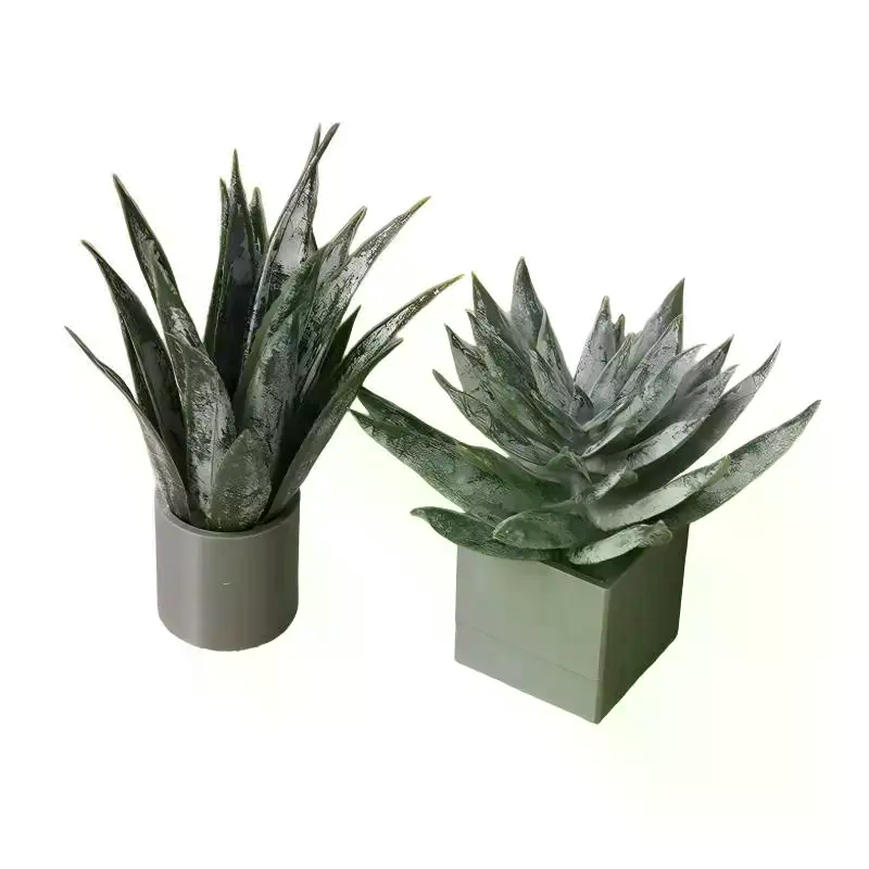 Miniatura de Planta de Aloe Ve - Aloe Vera Pot reseña y precio