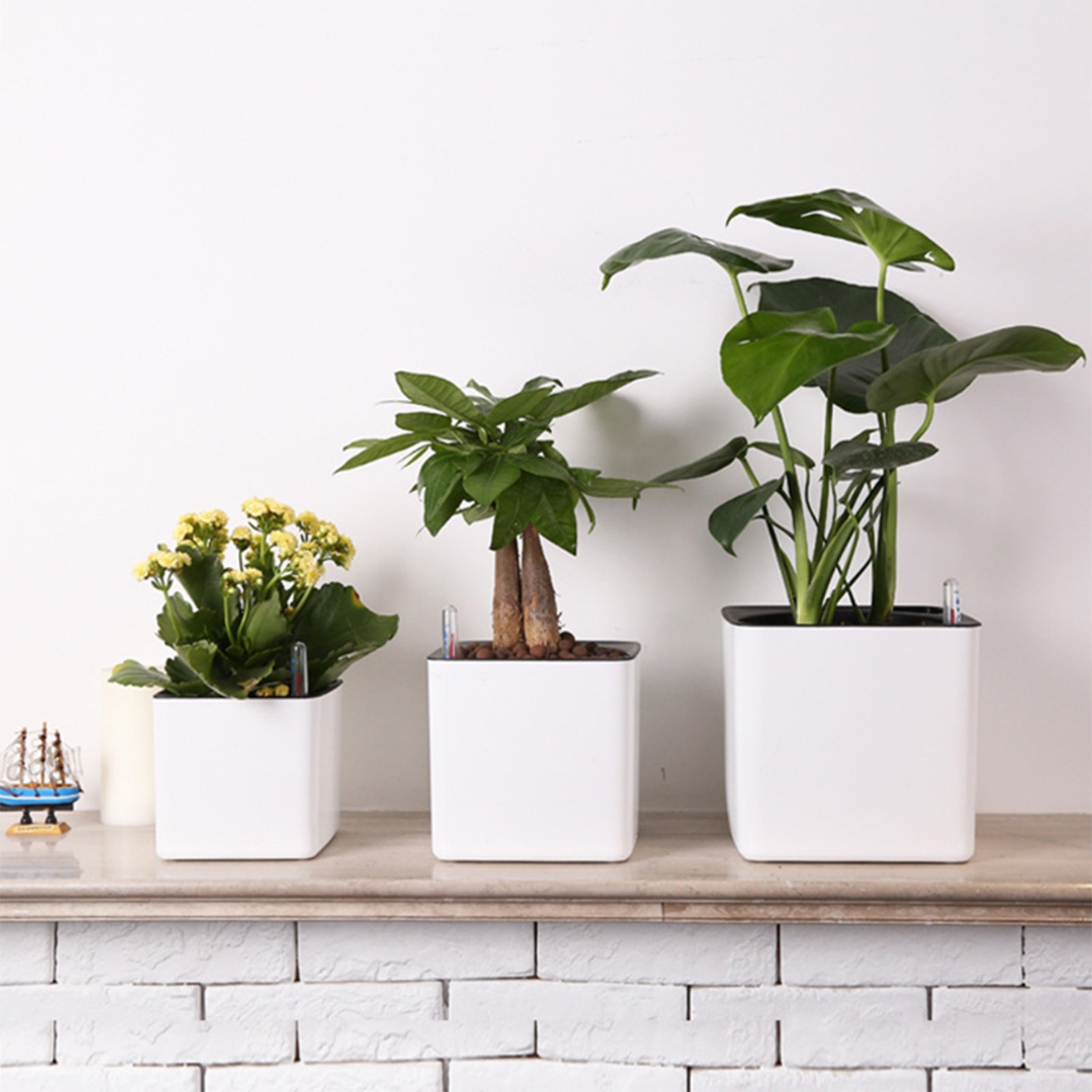 Macetas de plantas de flores c - Aloe Vera Pot reseña y precio