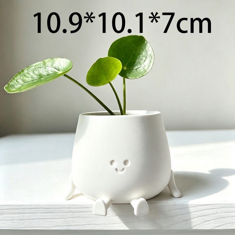 Maceta con Cara Sonriente Impr - Echeveria Succulent reseña y precio