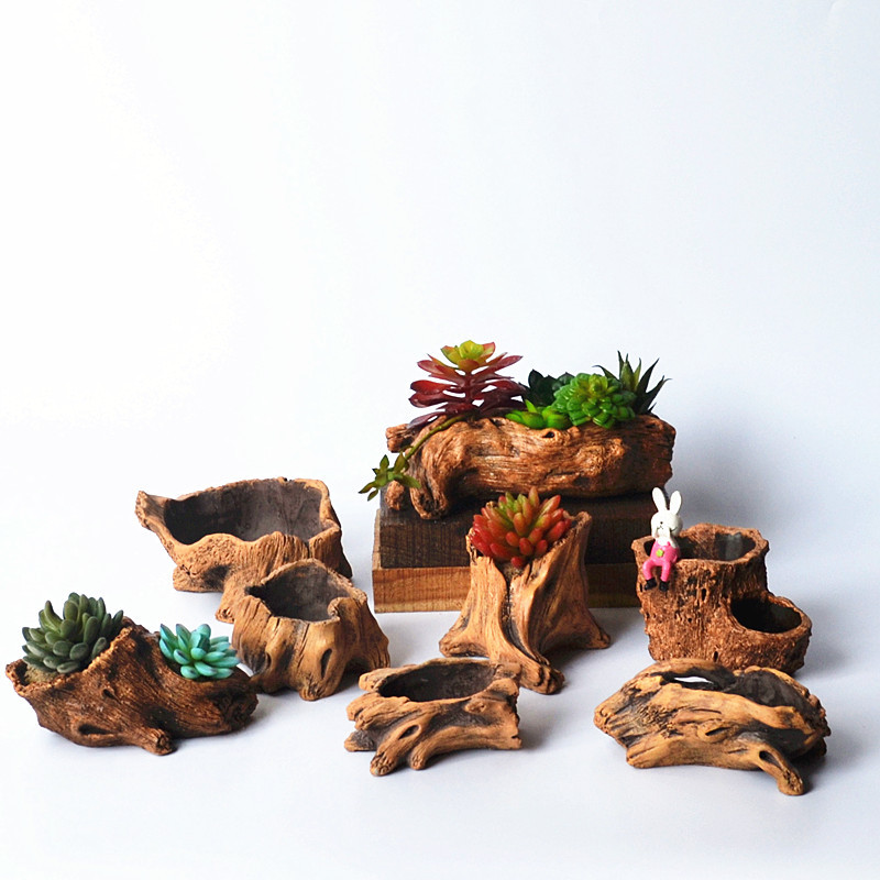 Estacas de madera de imitación - Echeveria Succulent reseña y precio